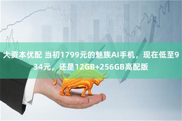 大资本优配 当初1799元的魅族AI手机，现在低至934元，还是12GB+256GB高配版